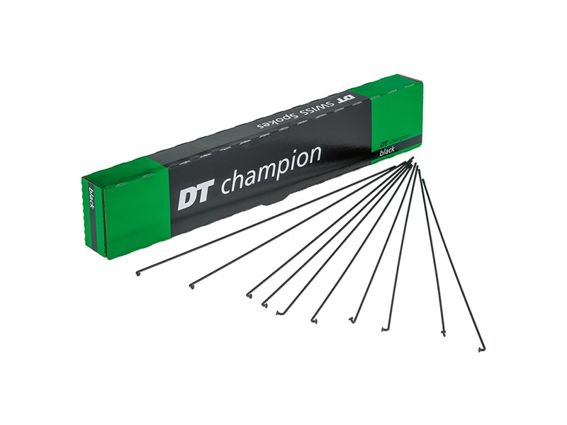 DT Swiss Champion Eger 2,34 x 170