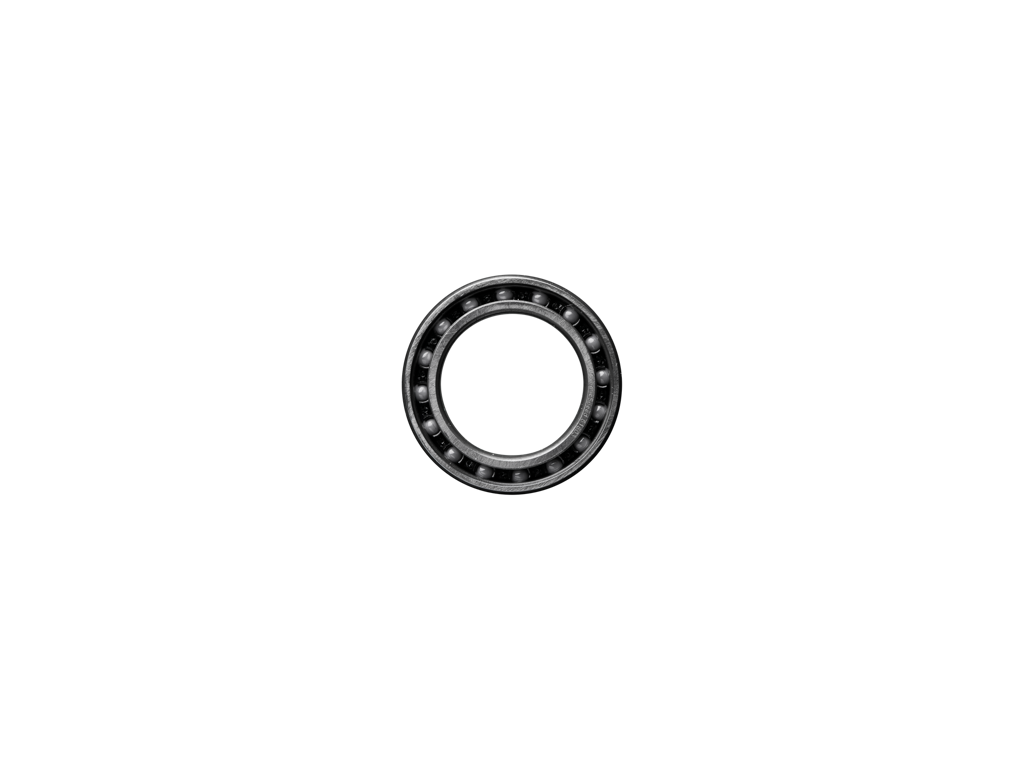 CeramicSpeed keramisk kugleleje sort